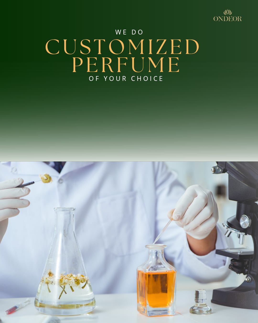 WhatsApp Image 2025-11-07 at 11.55.04 AM