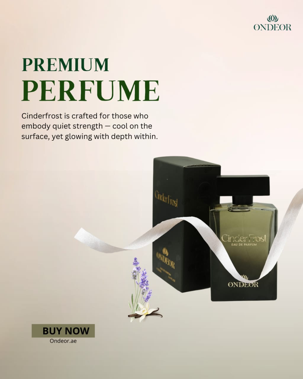 WhatsApp Image 2025-11-07 at 11.55.05 AM